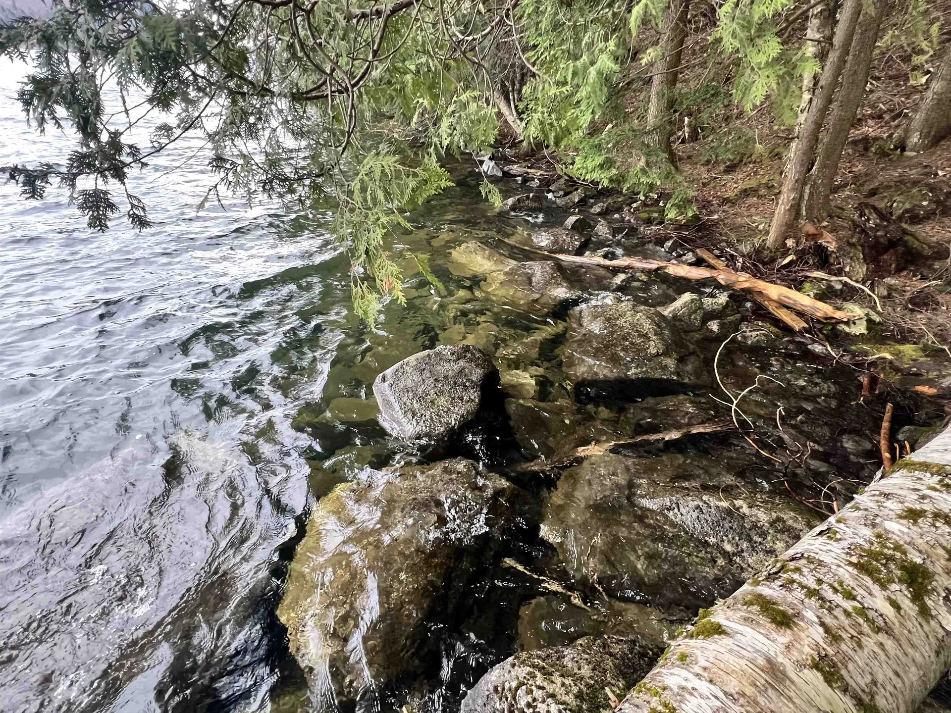 2 Foliage Lane Westmore VT 05822