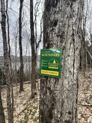 2 Foliage Lane Westmore VT 05822