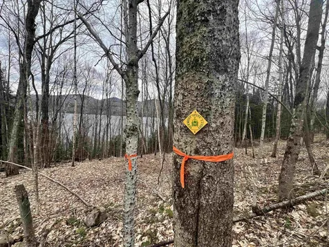 2 Foliage Lane Westmore VT 05822