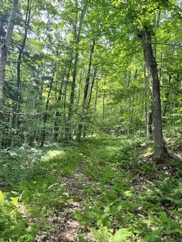 2 Foliage Lane Westmore VT 05822