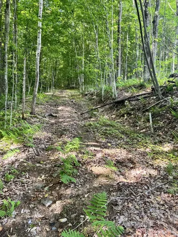 2 Foliage Lane Westmore VT 05822