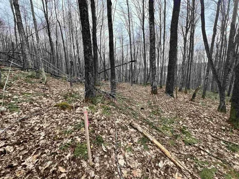 2 Foliage Lane Westmore VT 05822