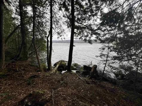 2 Foliage Lane Westmore VT 05822