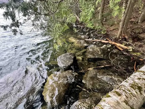 2 Foliage Lane Westmore VT 05822