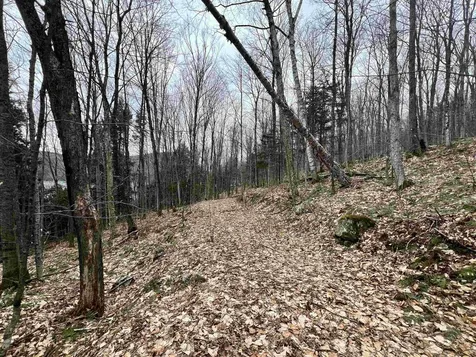 2 Foliage Lane Westmore VT 05822