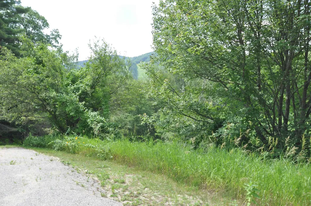 39 Birch Glen Drive Bennington NH 03442