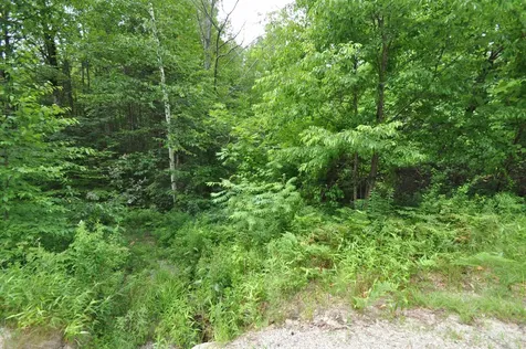 39 Birch Glen Drive Bennington NH 03442