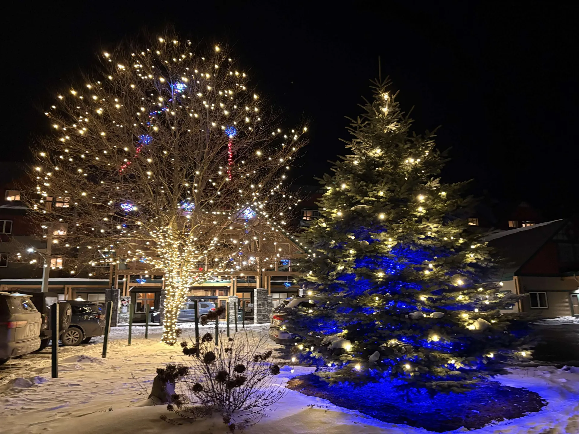 339 Qtr.4, 89 Grand Summit Way Dover VT 05356