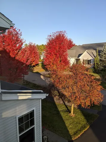 70 Fields Road Middlebury VT 05753