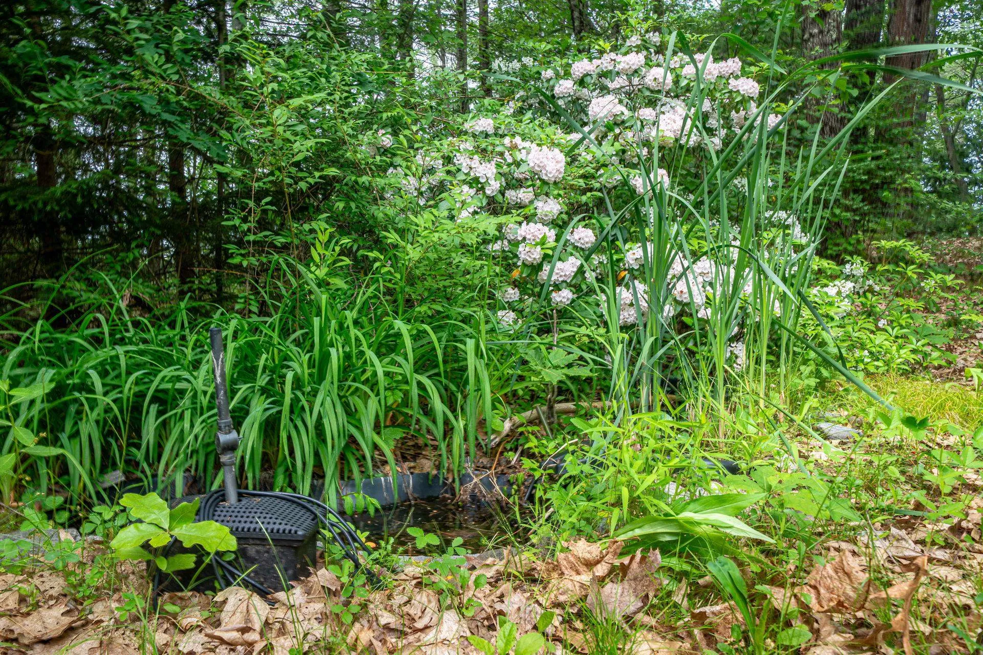 8 Pine Acres Road Amherst NH 03031