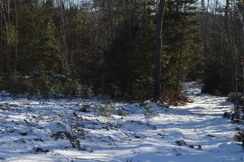 Lot 1 Nutting Road Sunapee NH 03782