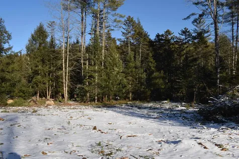 Lot 1 Nutting Road Sunapee NH 03782