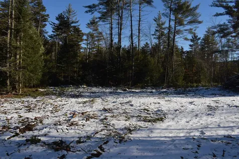 Lot 1 Nutting Road Sunapee NH 03782