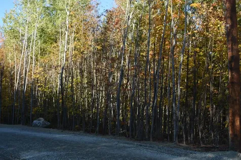1 Cote Acres Road Randolph NH 03593