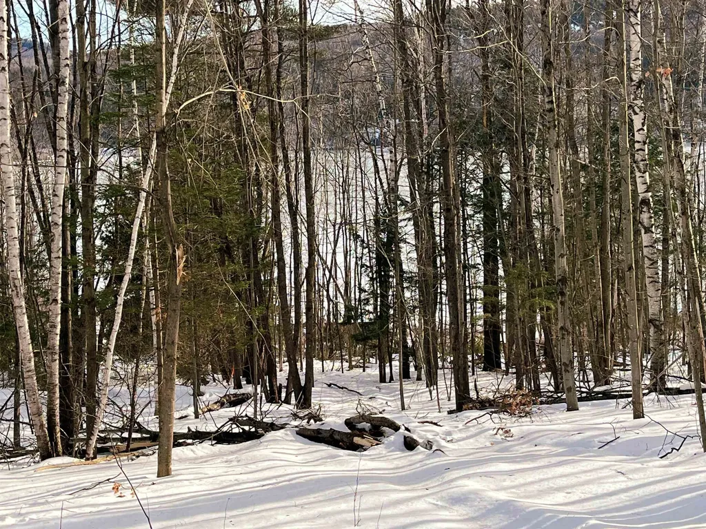 0 Duck Pond Road Barton VT 05822