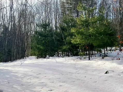 0 Duck Pond Road Barton VT 05822