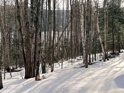 0 Duck Pond Road Barton VT 05822