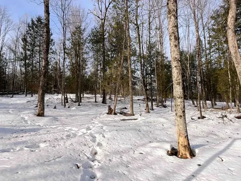 0 Duck Pond Road Barton VT 05822