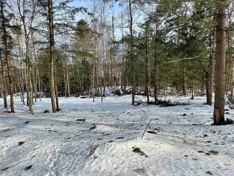 0 Duck Pond Road Barton VT 05822