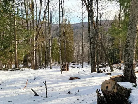 0 Duck Pond Road Barton VT 05822