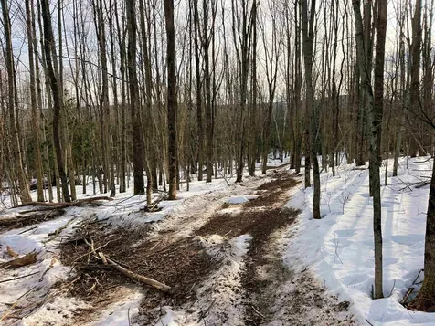 0 Duck Pond Road Barton VT 05822