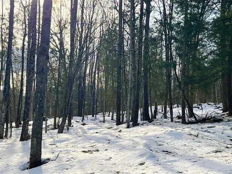 0 Duck Pond Road Barton VT 05822