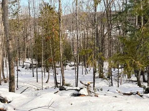 0 Duck Pond Road Barton VT 05822