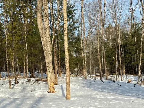 0 Duck Pond Road Barton VT 05822