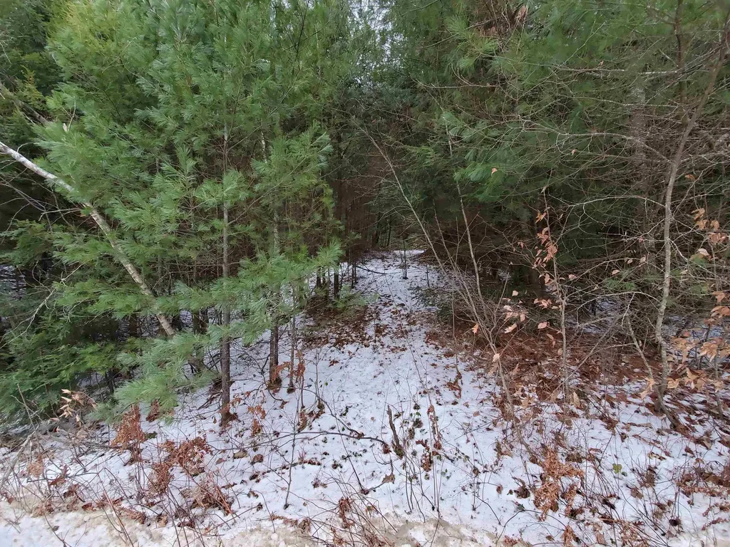 00 Berry Farms Road Alexandria NH 03222