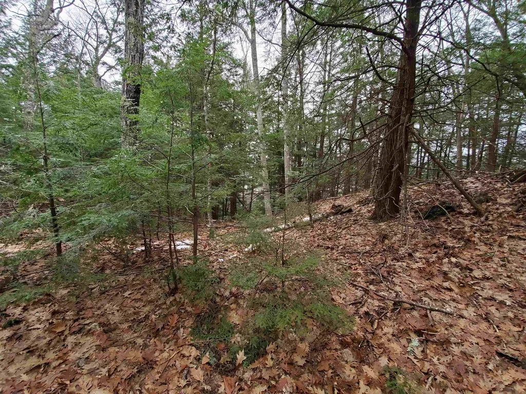 00 Berry Farms Road Alexandria NH 03222