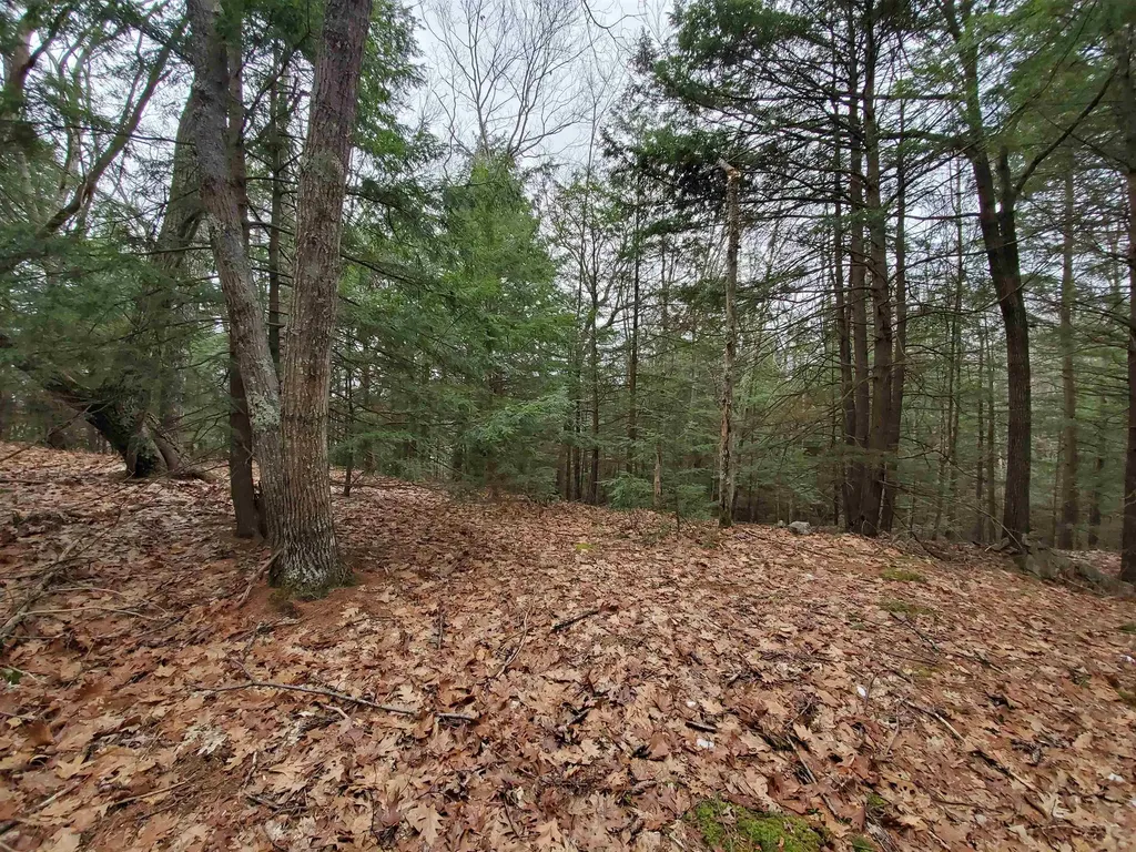 00 Berry Farms Road Alexandria NH 03222