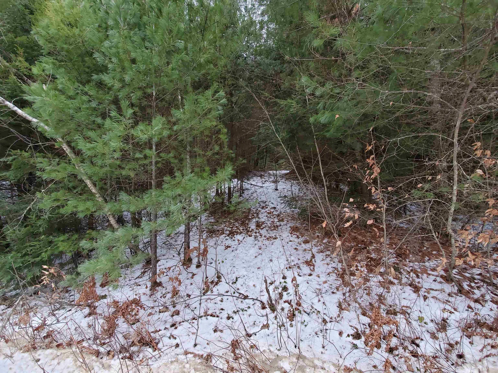 00 Berry Farms Road Alexandria NH 03222