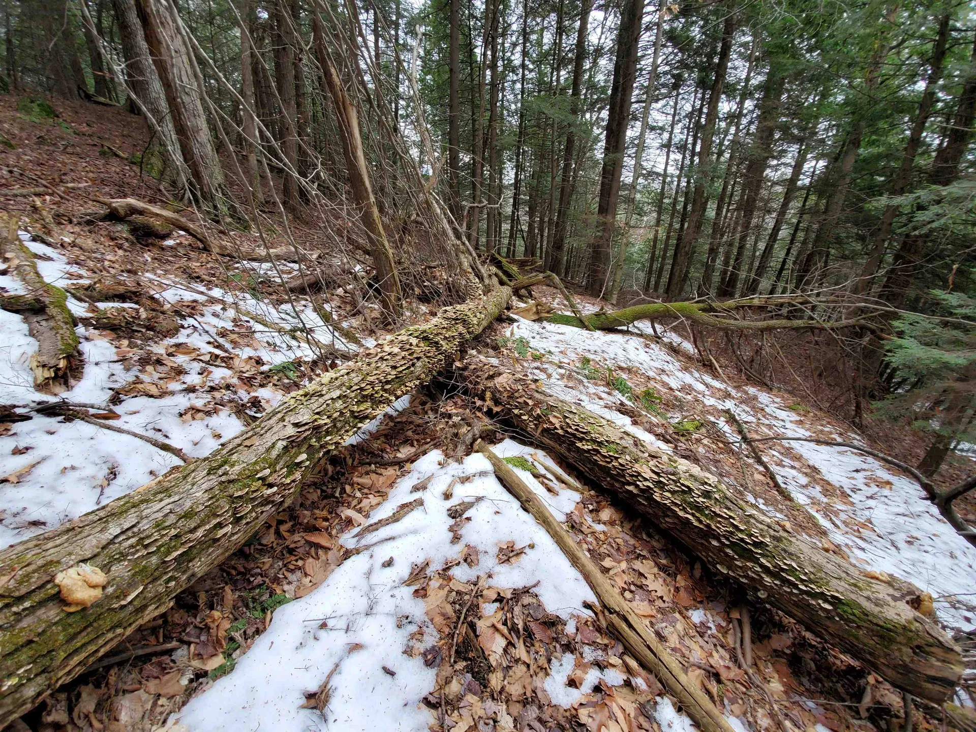 00 Berry Farms Road Alexandria NH 03222