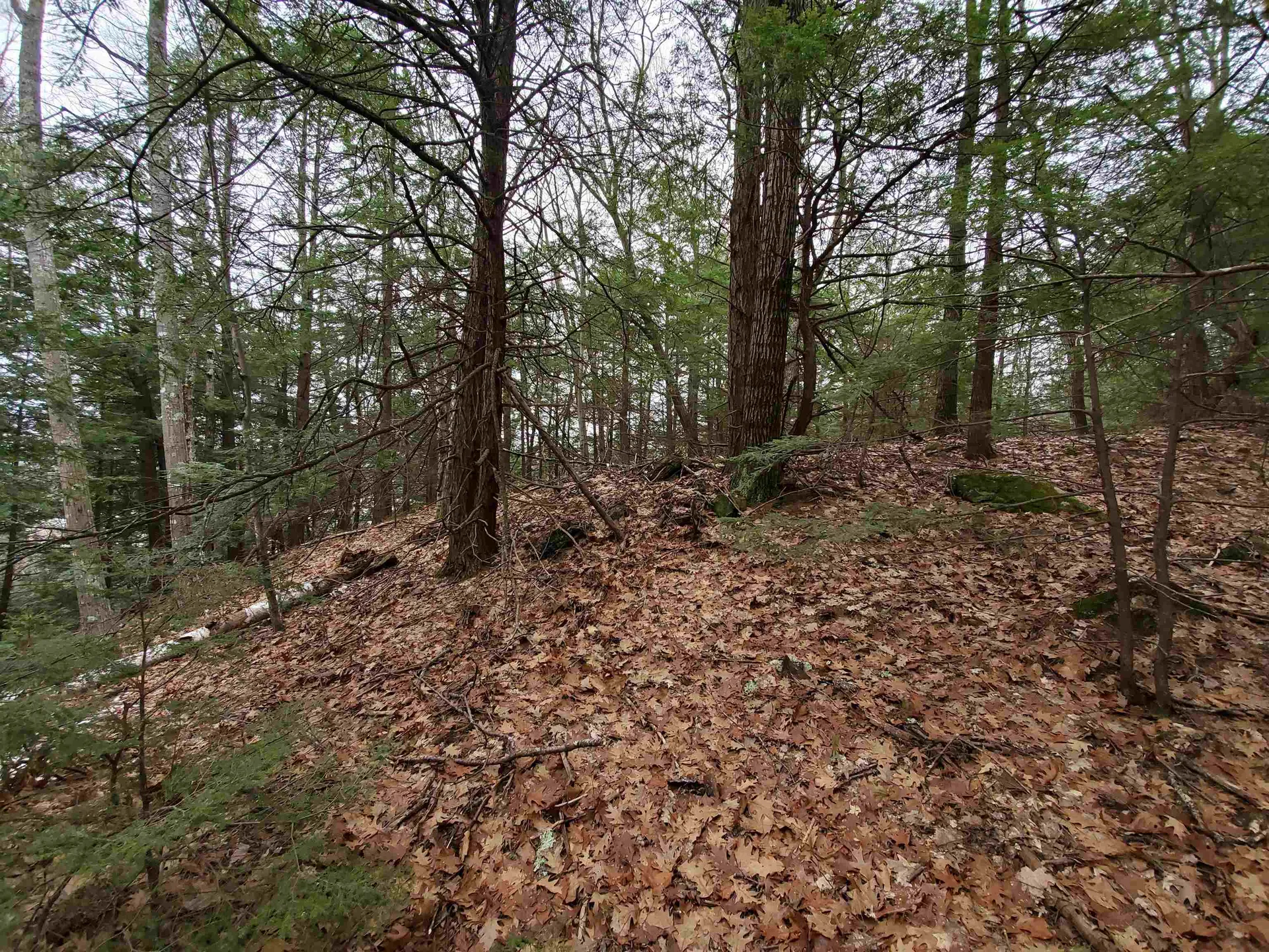 00 Berry Farms Road Alexandria NH 03222