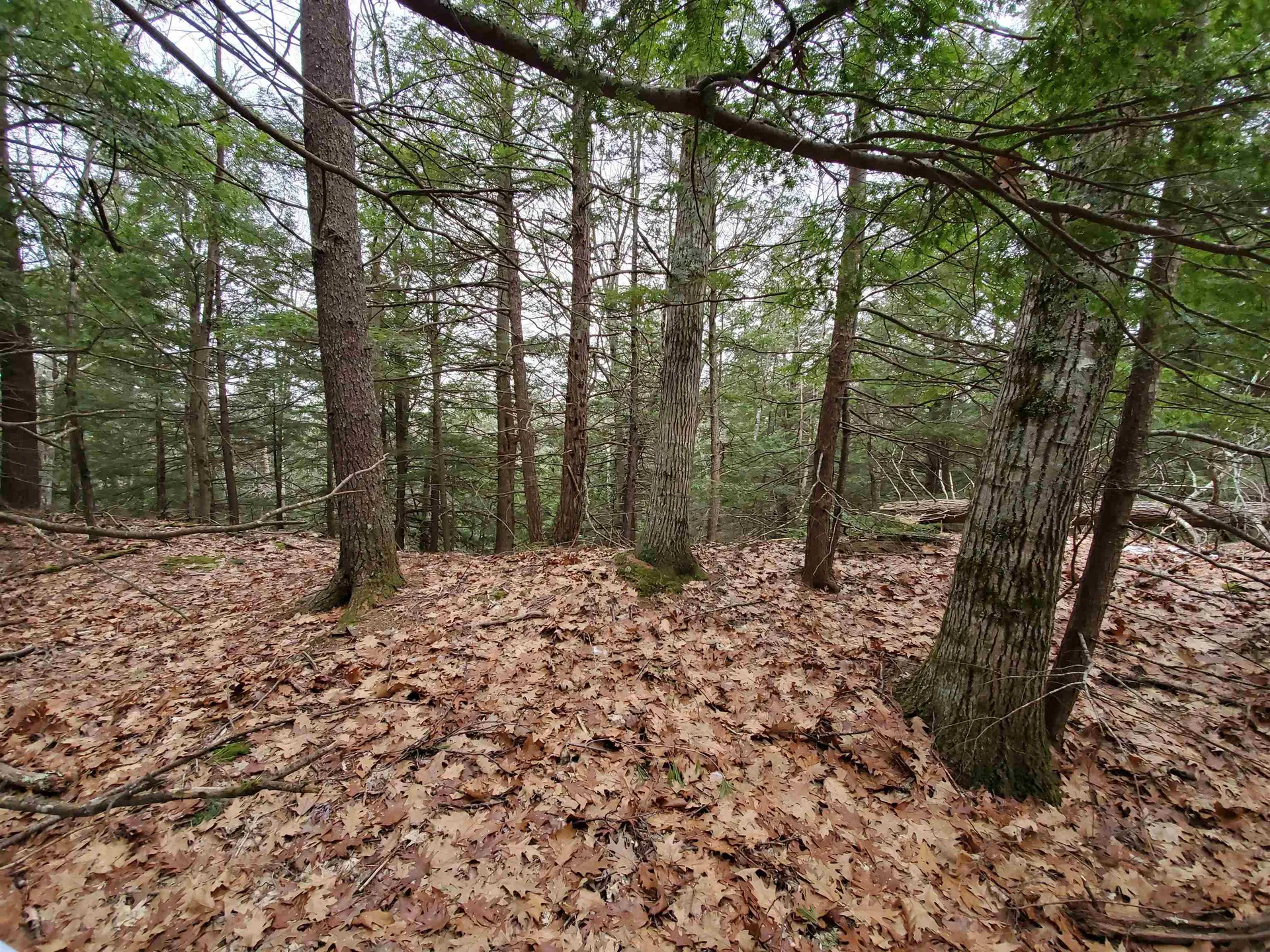 00 Berry Farms Road Alexandria NH 03222