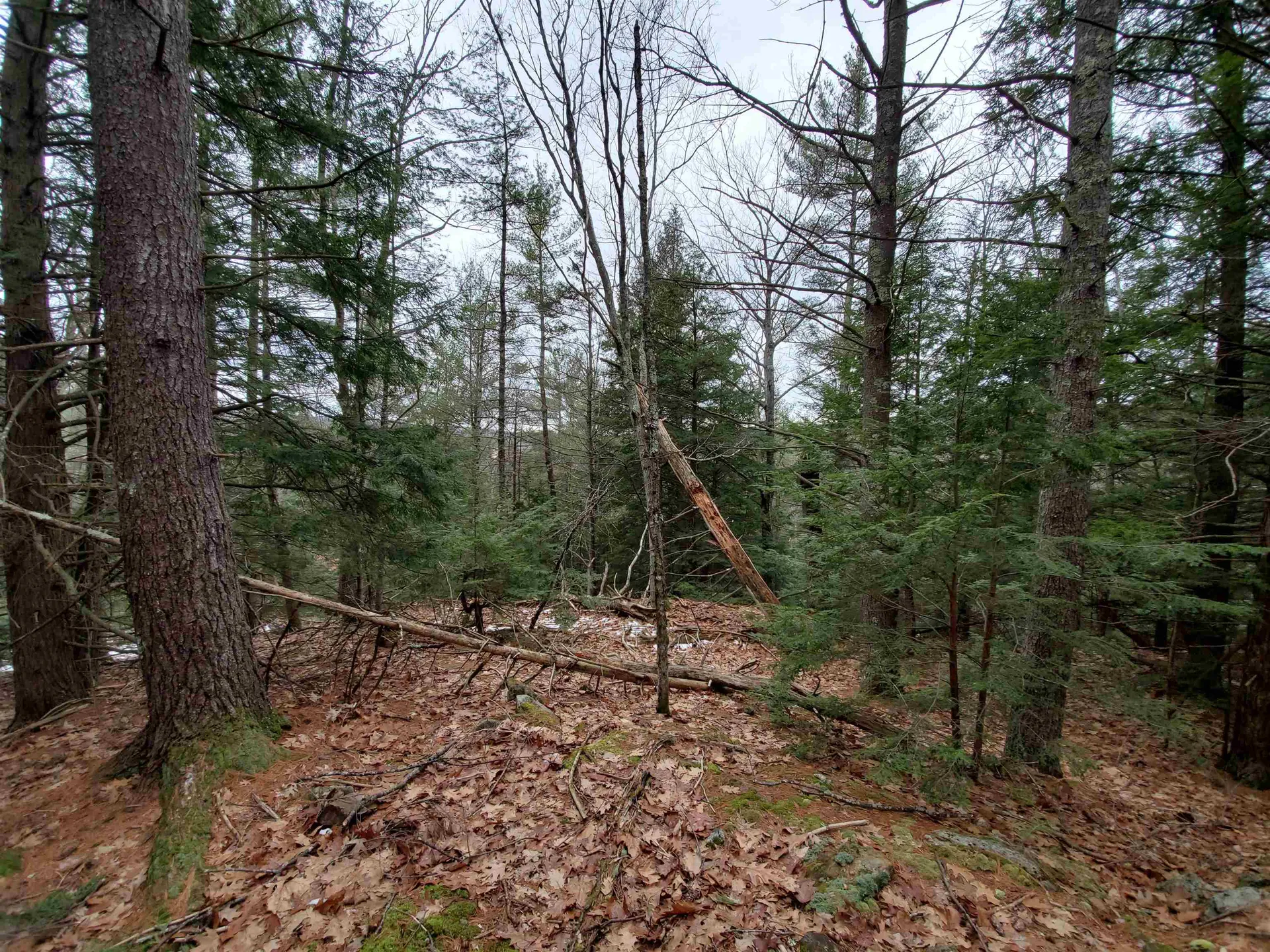 00 Berry Farms Road Alexandria NH 03222