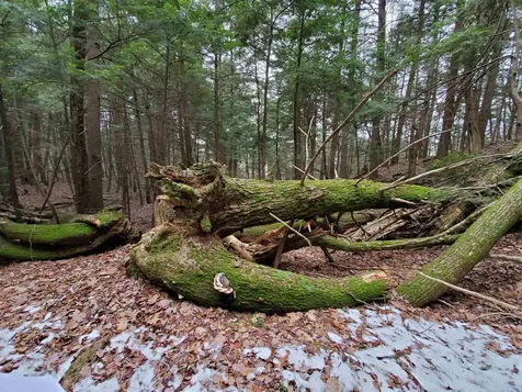 00 Berry Farms Road Alexandria NH 03222