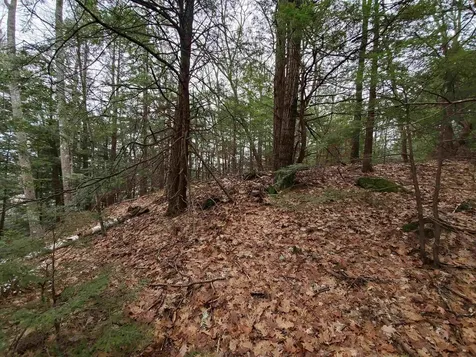 00 Berry Farms Road Alexandria NH 03222