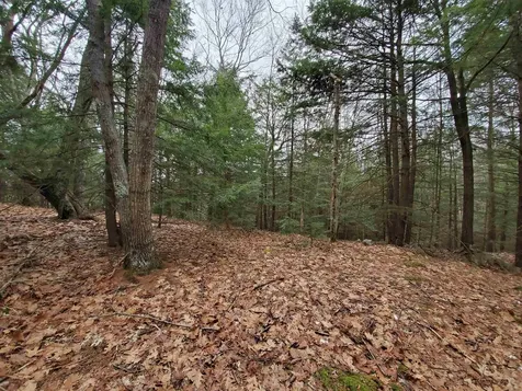 00 Berry Farms Road Alexandria NH 03222