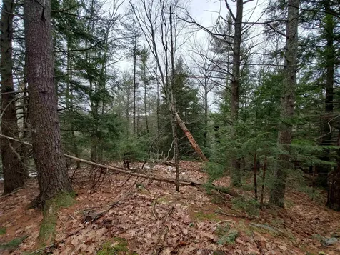 00 Berry Farms Road Alexandria NH 03222