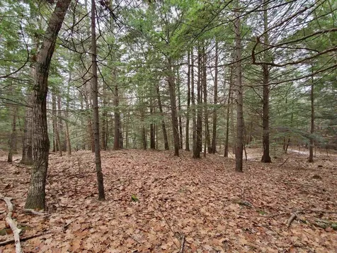 00 Berry Farms Road Alexandria NH 03222