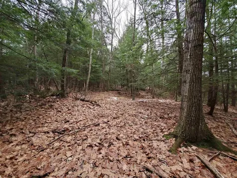 00 Berry Farms Road Alexandria NH 03222