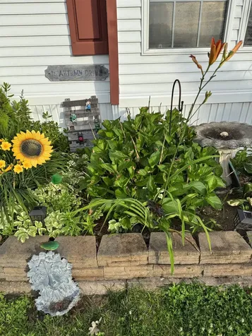 18 Autumn Drive Belmont NH 03220