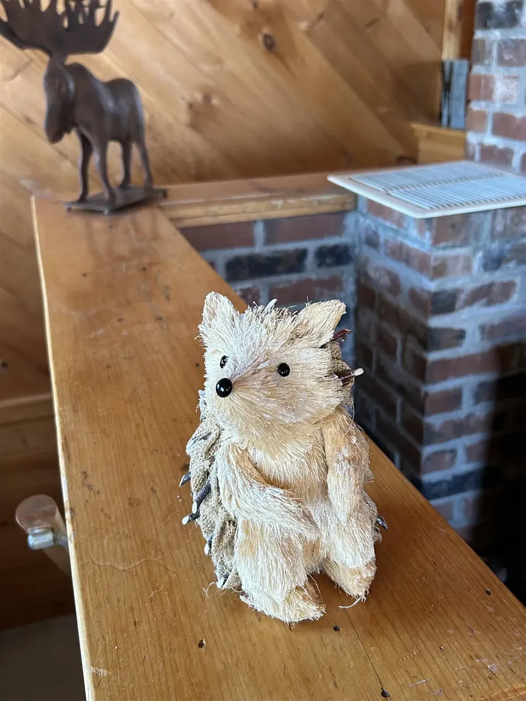 274 Hedgehog Hill Road N Mount Holly VT 05758