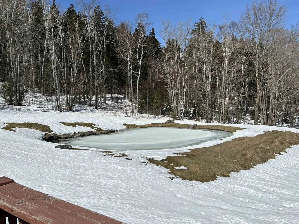 274 Hedgehog Hill Road N Mount Holly VT 05758