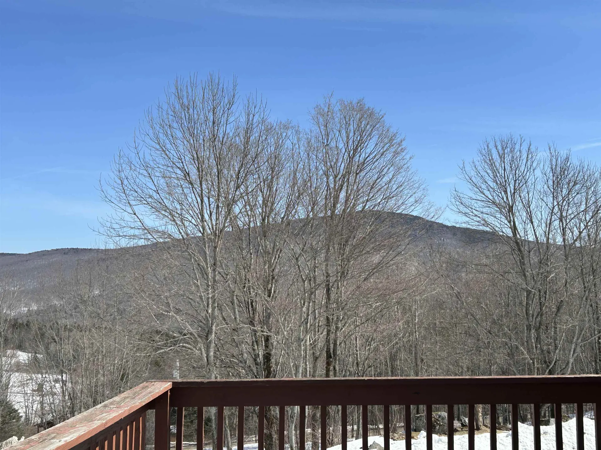 274 Hedgehog Hill Road N Mount Holly VT 05758