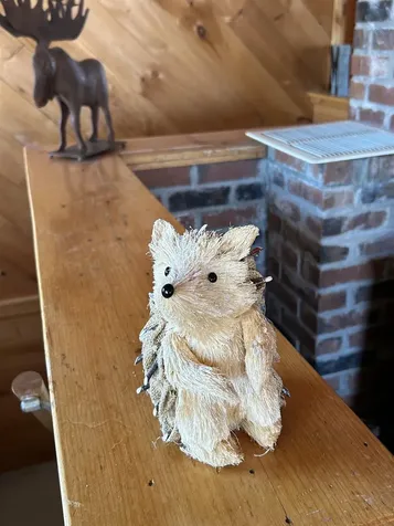 274 Hedgehog Hill Road N Mount Holly VT 05758