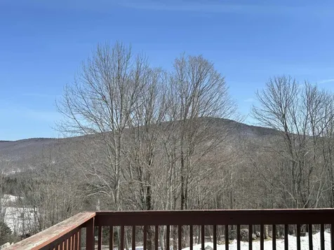 274 Hedgehog Hill Road N Mount Holly VT 05758