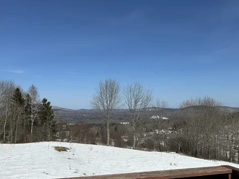 274 Hedgehog Hill Road N Mount Holly VT 05758