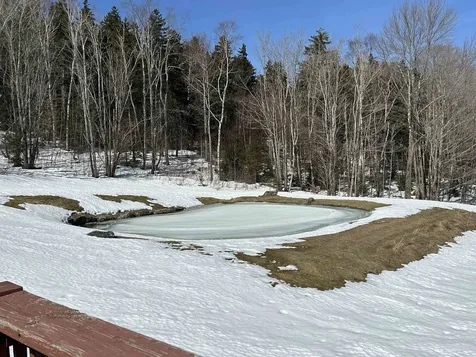 274 Hedgehog Hill Road N Mount Holly VT 05758